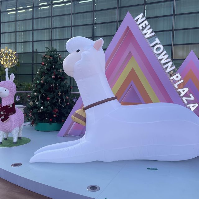 聖誕🎄新城市粉紅草泥馬🦙閃閃世界💕浪漫🌹打卡必到
