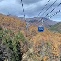 苗場はもう晩秋🍁日本最長ゴンドラ