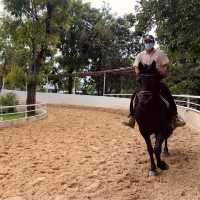 Riding Horse in Bangkok Cafe 🐎