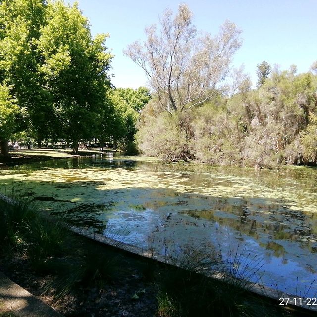 Hyde Park Australia 