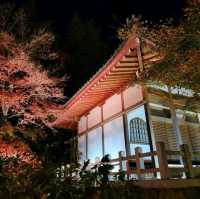 嵐山夜楓@寶嚴院