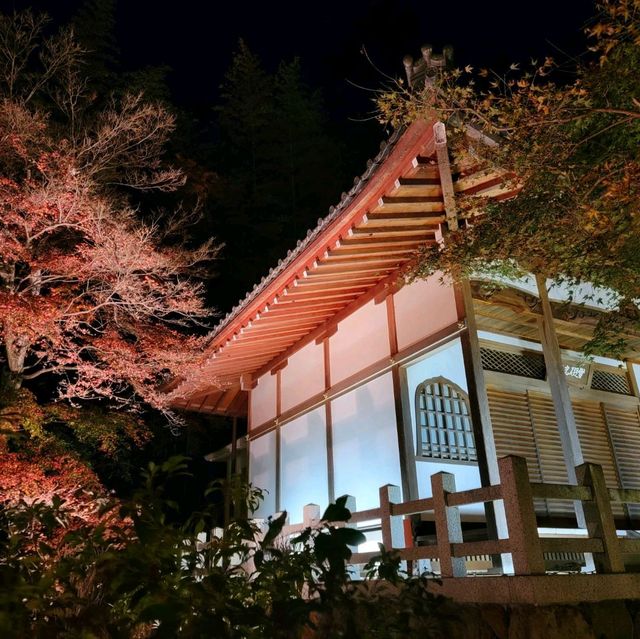 嵐山夜楓@寶嚴院