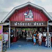 ฟาร์มแกะพัทยาและสวนนกโชว์ 🐑🦜