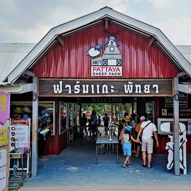 ฟาร์มแกะพัทยาและสวนนกโชว์ 🐑🦜