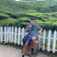 Cameron Valley Tea House 여행 사진