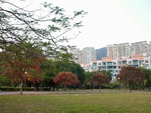 Weekend break @ Discovery Bay