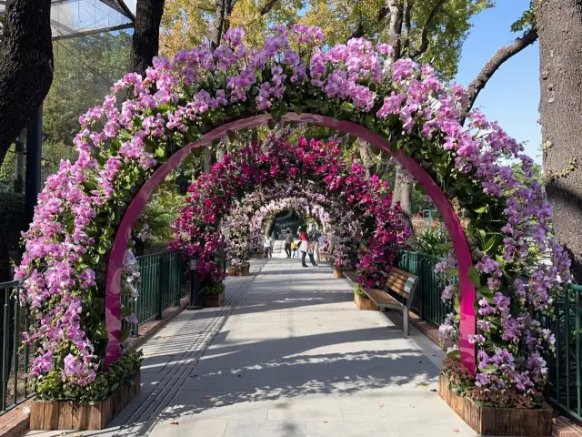 本地遊 | 香港動植物公園 | 必影蝴蝶蘭花廊