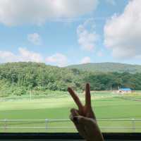 대천 해수욕장 기차여행