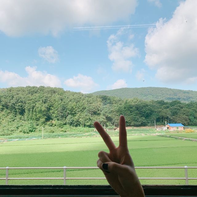 대천 해수욕장 기차여행