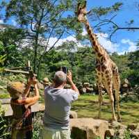 INDONESIAN SAFARI PARK, BOGOR