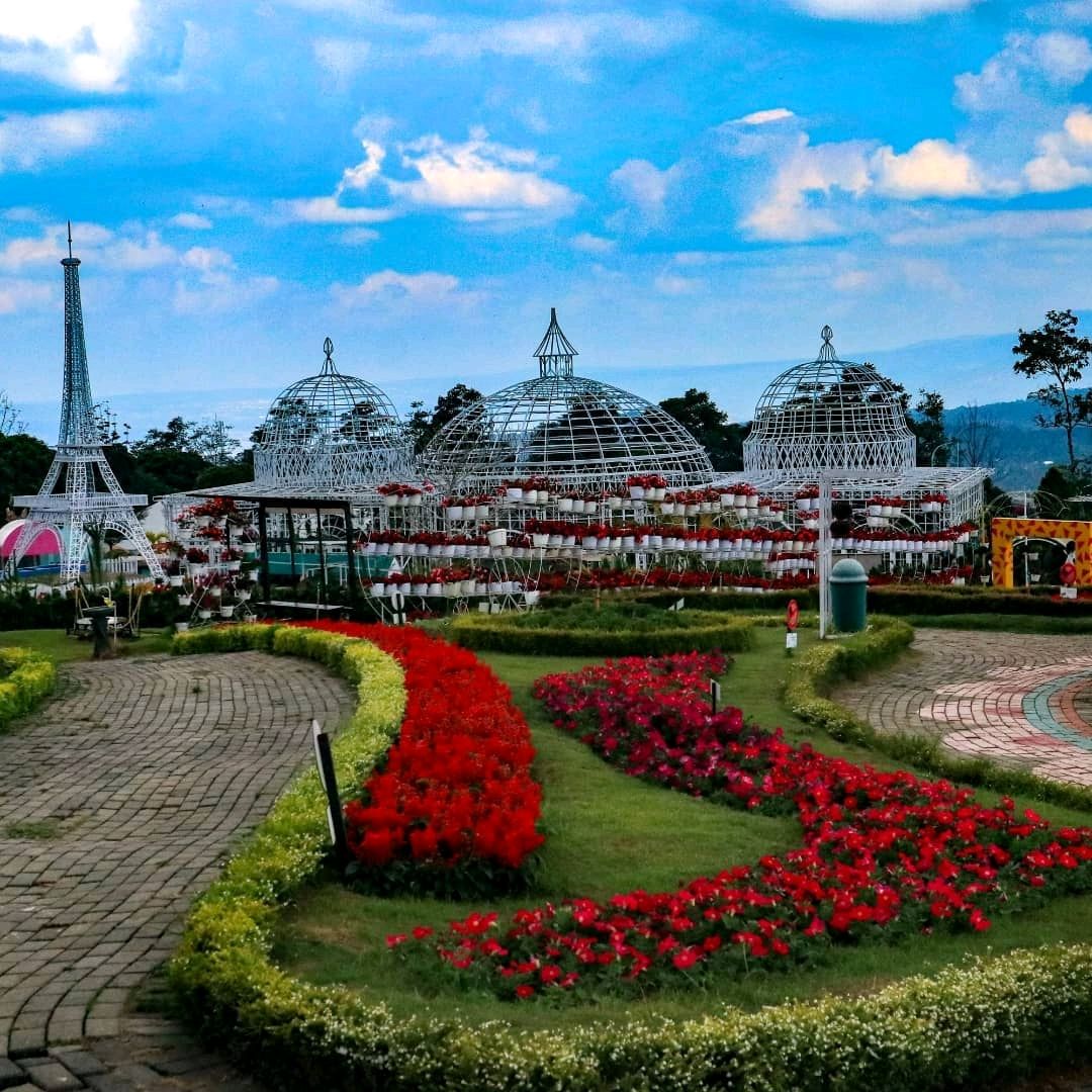CELOSIA FLOWER PARK | Trip.com Bandungan Travelogues