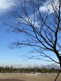 전시회 보며 문화 생활도 하고, 산책하기도 좋은 이곳! 부산현대미술관