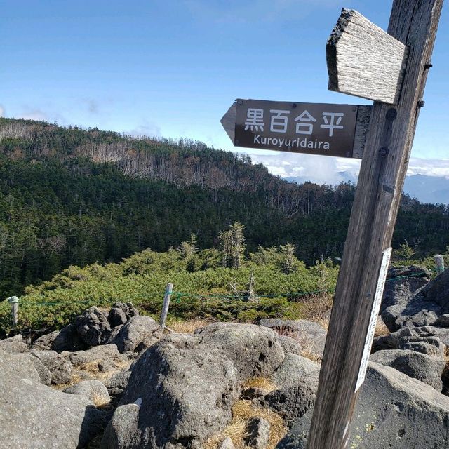 【長野県】黒百合平