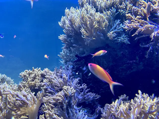 【東京】都心の屋上水族館！サンシャイン水族館