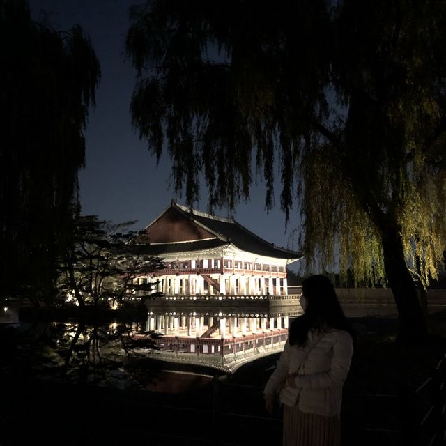 경복궁 야간개장이 찐이다 ✨