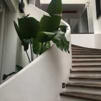 상하이 감각적인 카페추천 Seesaw coffee