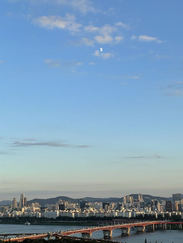 응봉산에서 하는 서울 구경🍃