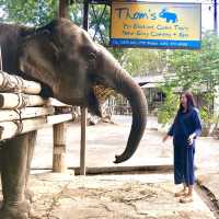 Thom’s Pai Elephant Camp
