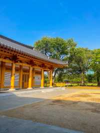 전주 덕진공원, 연꽃속의 한옥도서관 “연화정도서관”
