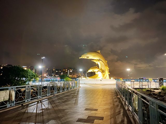夜遊海豚廣場