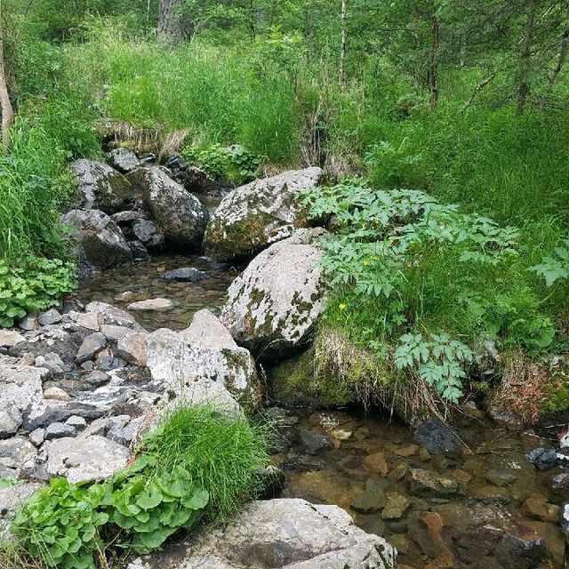 Bogd Khan Mountain Trip