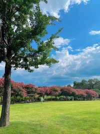 입장료 무료🌿사계절 내내 볼거리 가득한 [전주수목원]