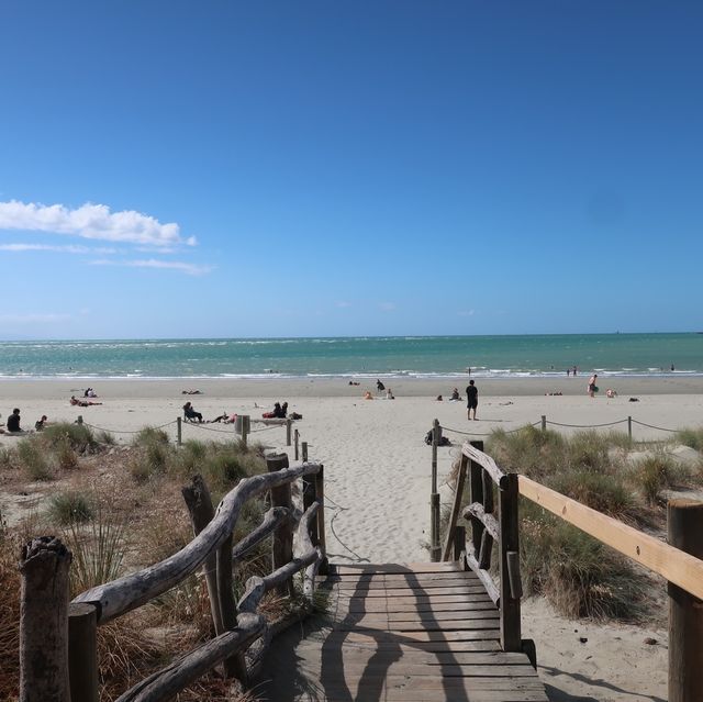 뉴질랜드 남섬🇳🇿 아름다운 해변을 찾고있다면, 타후나누이 비치로!🌊