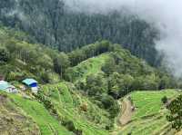 farm