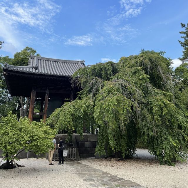 【東京都】東京タワーをバックに増上寺