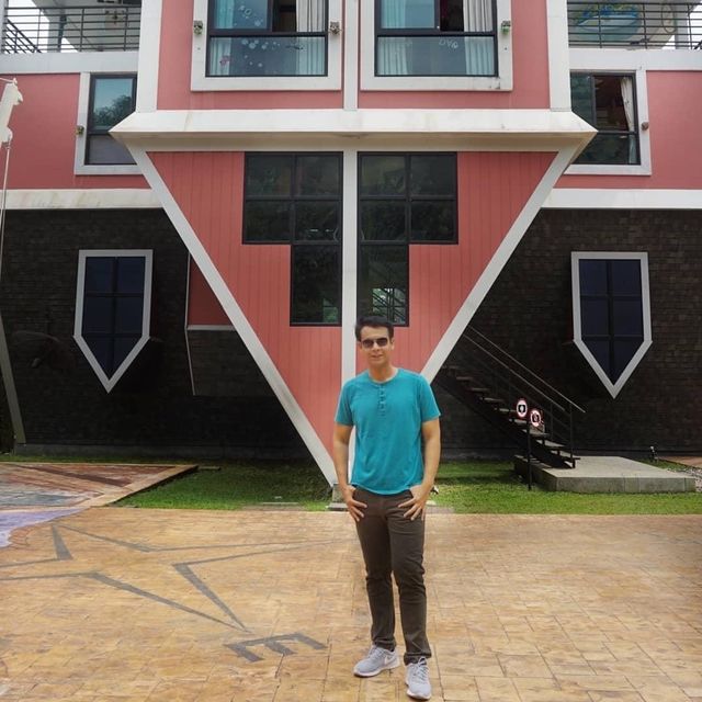 Upside down house