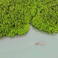Mangrove Paradise on Koh Chang
