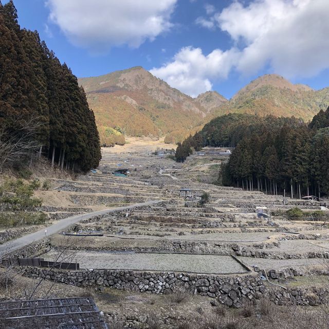 四谷の千枚田