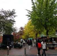 Sinchon, the Young Street