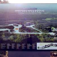 Manjanggul Cave, Jeju Island