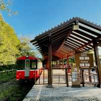 阿里山觀日