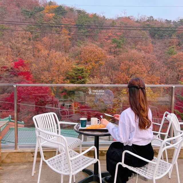 韓国/ソウル【牛耳洞】紅葉が見れる🍁大型ベーカリーカフェ💛