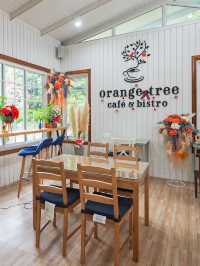 Orange Tree cafe&bistro  ราชบุรี