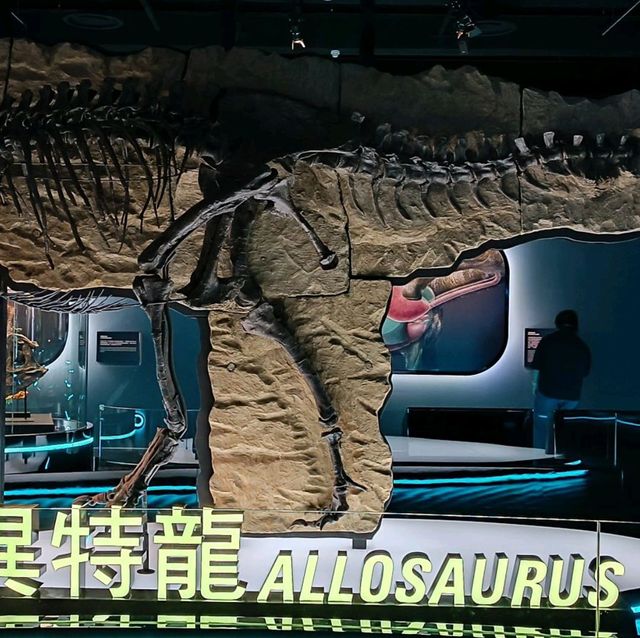 恐龍展