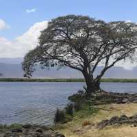 A most SPECTACULAR photo Safari in Tanzania 