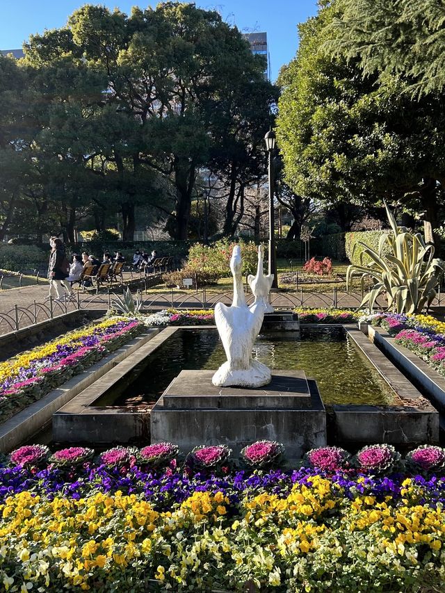 겨울에도 꽃이 알록달록한 도쿄 히비야 공원🌷