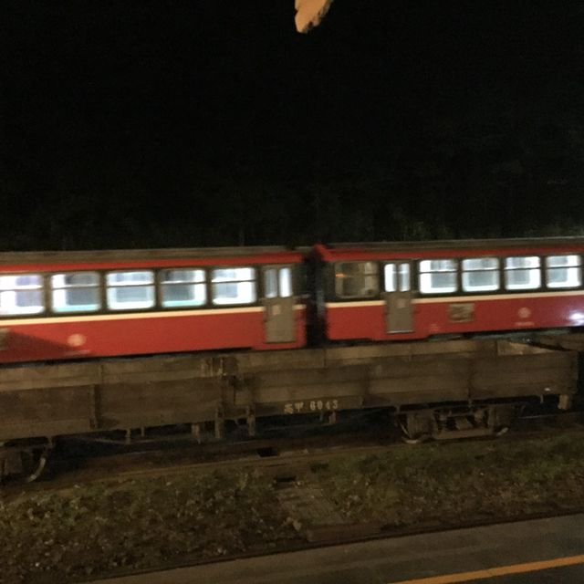 台灣阿里山看日出（第一次登山便看到）