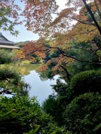 山口県🍁これからの時期が1番オススメ！紅葉スポット🍁【長府庭園】