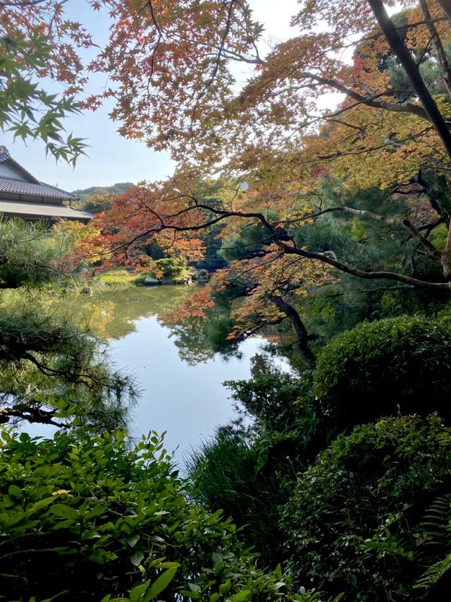 山口県🍁これからの時期が1番オススメ！紅葉スポット🍁【長府庭園】