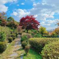 [Voyage 59] 🍁아름다운 단풍으로 물든 계양산⛰