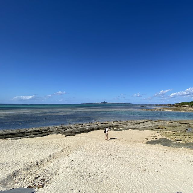 【沖縄･本島】緑いっぱいの癒しスポット✨