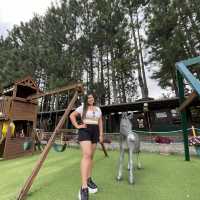 Dahilayan Forest Park Resort 🍃