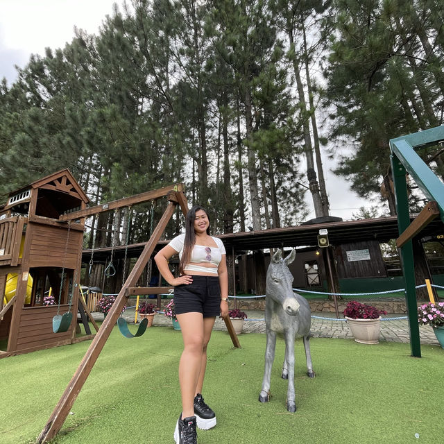 Dahilayan Forest Park Resort 🍃
