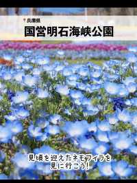 絶景！GWが見頃のお花畑スポット7選