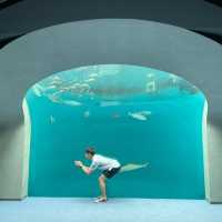 香川県にある四国水族館に行ってきた！🙋‍♀️
