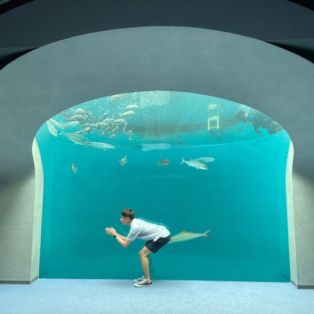 香川県にある四国水族館に行ってきた！🙋‍♀️